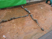 السيد عبد الكريم الزبارقة "بساتين الزهراء في اللد غير جاهزة لاستقبال أطفالنا ولا تلبي احتياجاتهم"